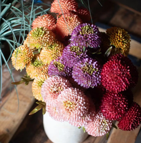 Artificial Ball Dahlia Bundle, Red