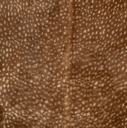 Axis Printed Goat Hide