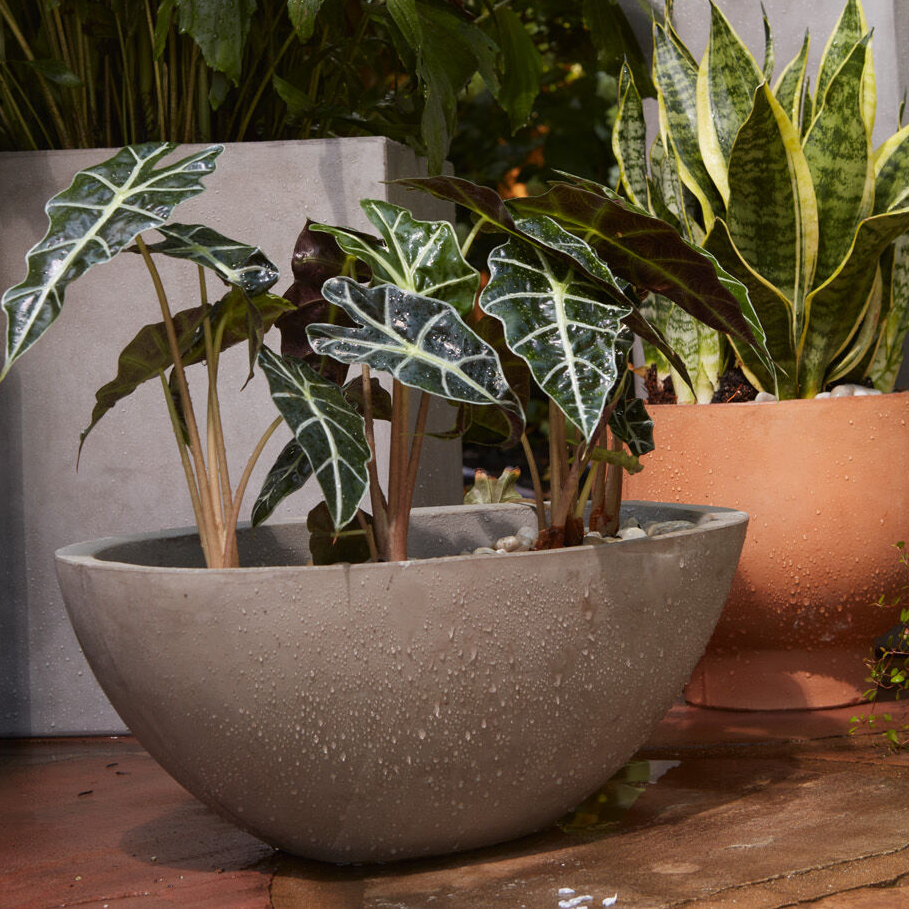 Newport Boat - 13 Hub Lane   |  Concrete Planters