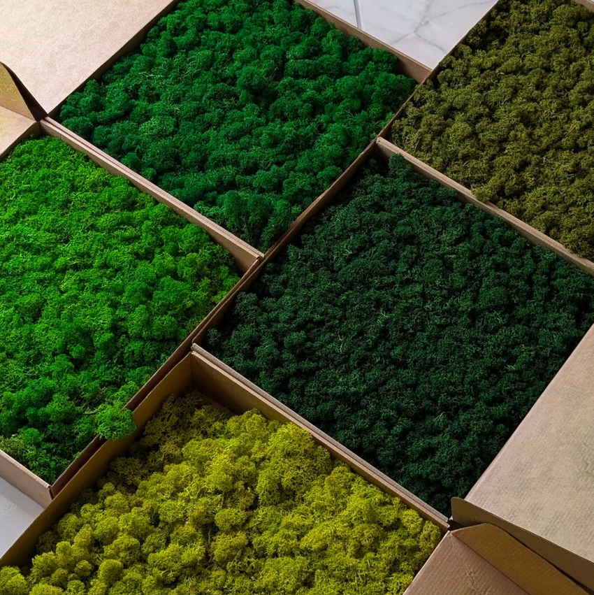 Preserved Reindeer Moss, 16oz. - 13 Hub Lane   |  