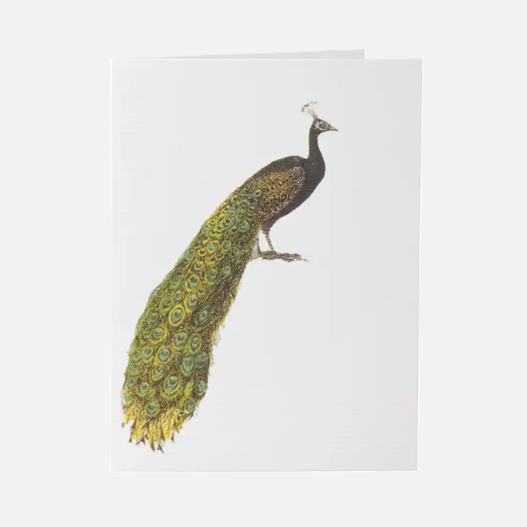 Peacock