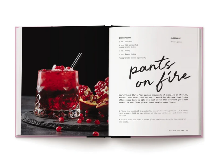 Pour Decisions: 100 Cocktails Inspired by Your Ex - 13 Hub Lane   |  