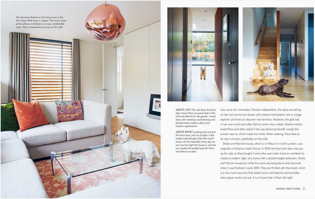 Cool Dogs, Cool Homes: Living in Style With Your Dog
