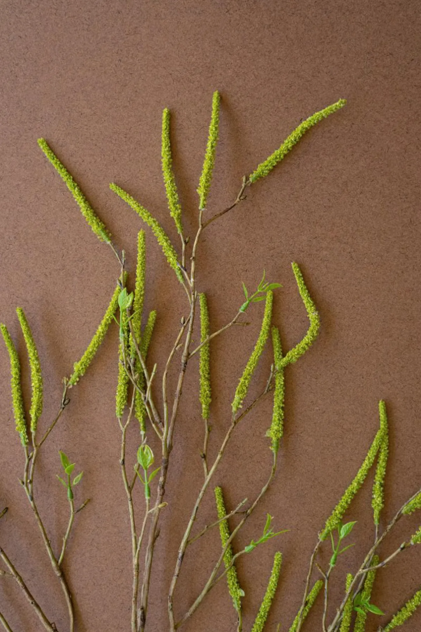 Artificial Green Willow Flowers Spray