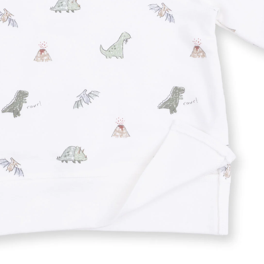 Dinos French Terry - Raglan Sweatshirt