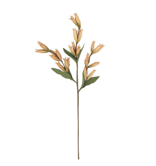Botanica #9039
