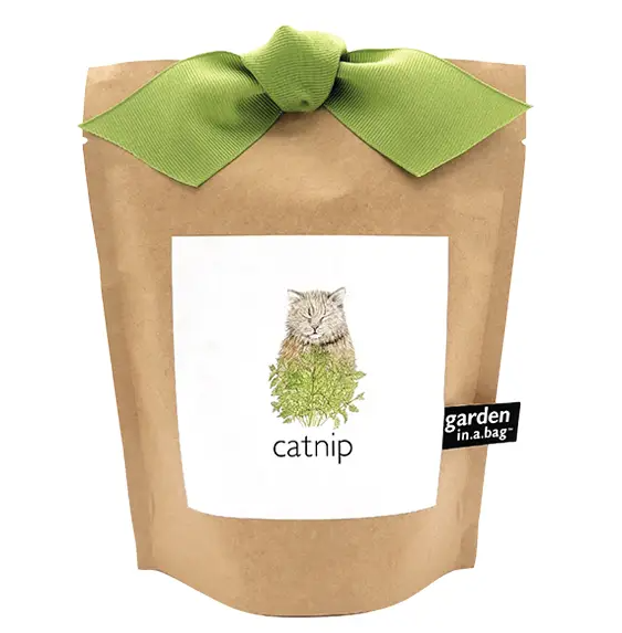 Garden in a Bag, Catnip