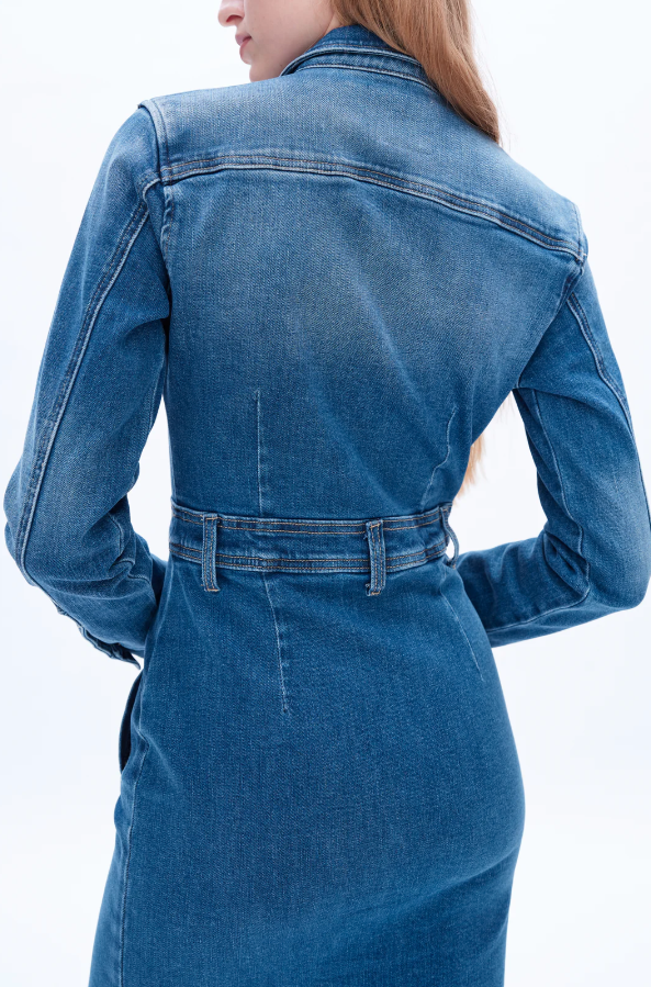 Andrea Long Sleeve Denim Shirt Dress