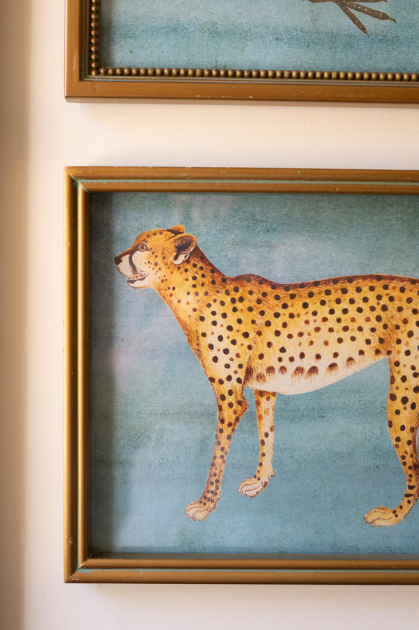 Framed Exotic Animal Print Under Glass - 13 Hub Lane   |  