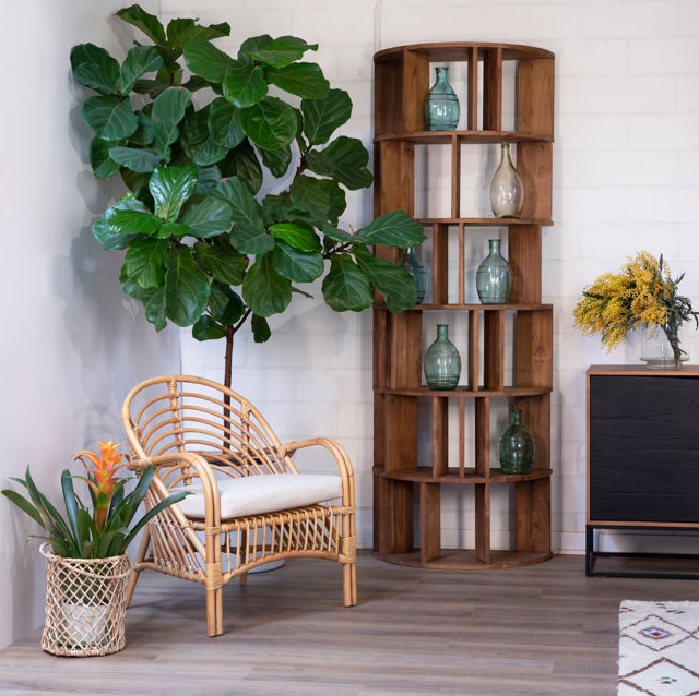 Franco Bookcase, Teak Wood