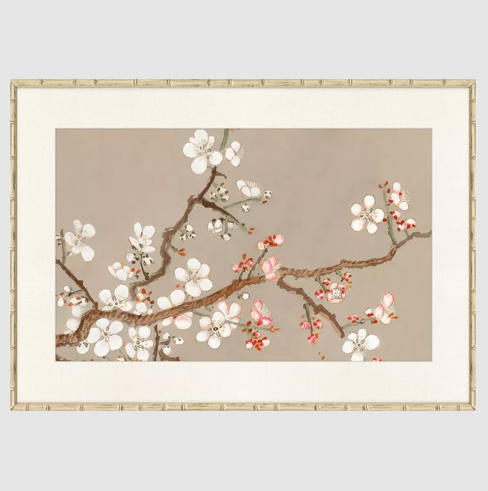 Pear Tree II - 13 Hub Lane   |  