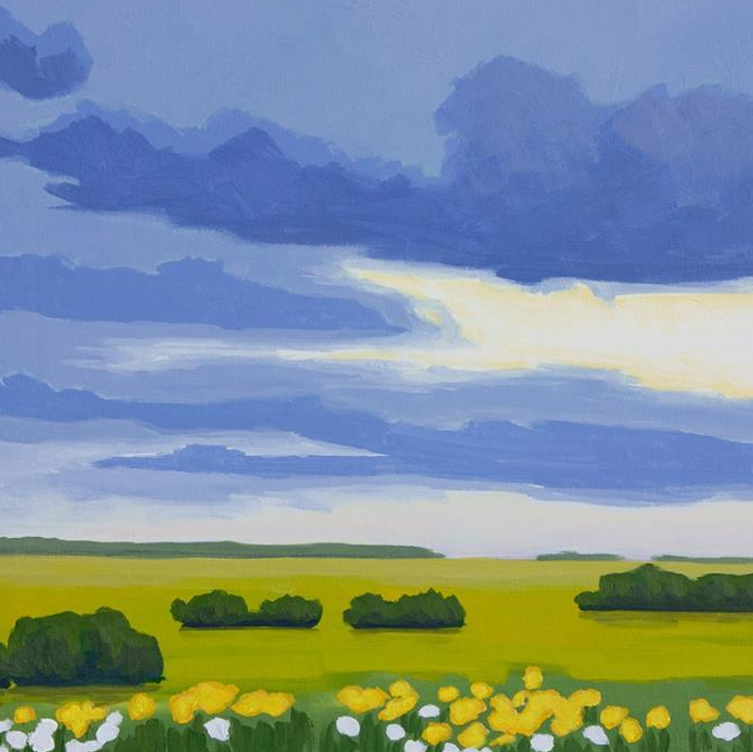 Kansas Field with Little Flowers