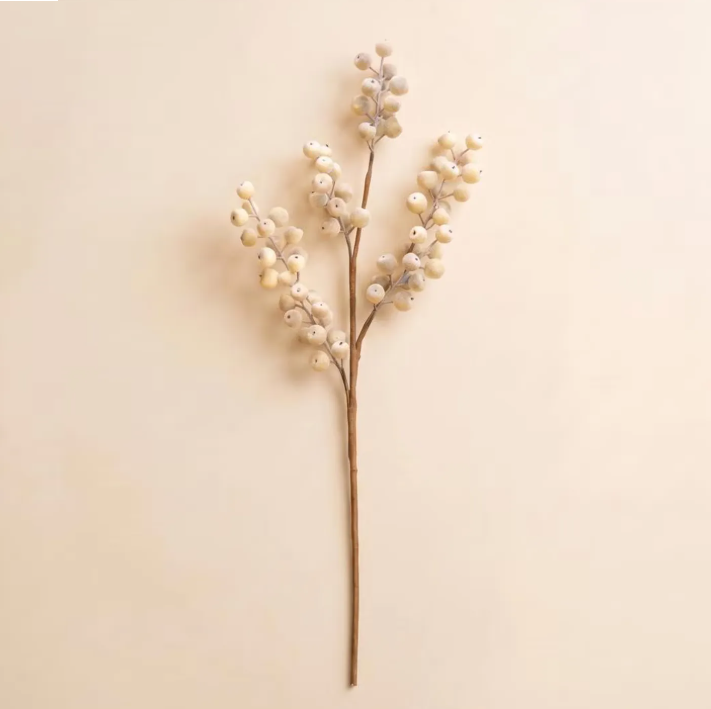 Botanica #9067