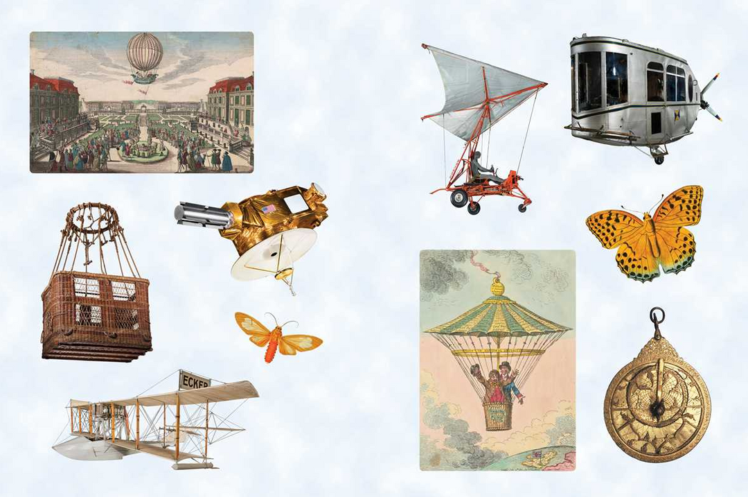 Cabinet of Curiosities II By Smithsonian Institution