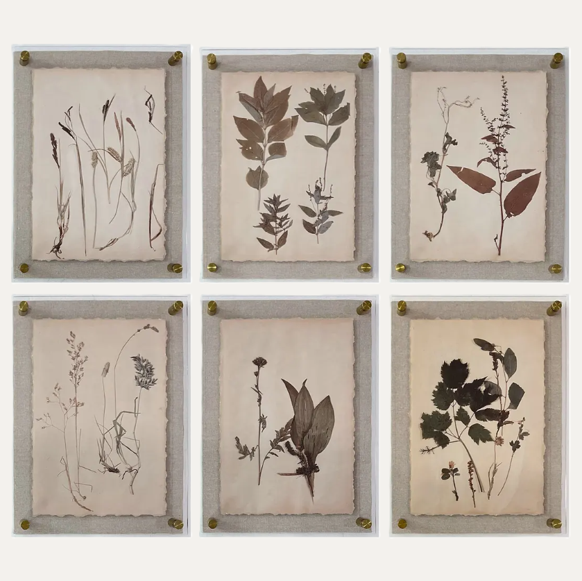 Dried Botanical Print - 13 Hub Lane   |  