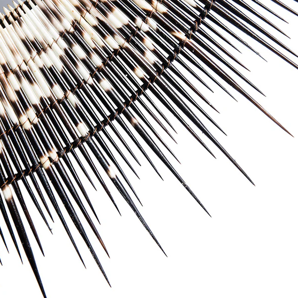 Ngala Trading Porcupine Quill Mirror - Thumbnail 3