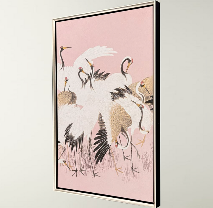 Curious Cranes - Pinna - 13 Hub Lane   |  