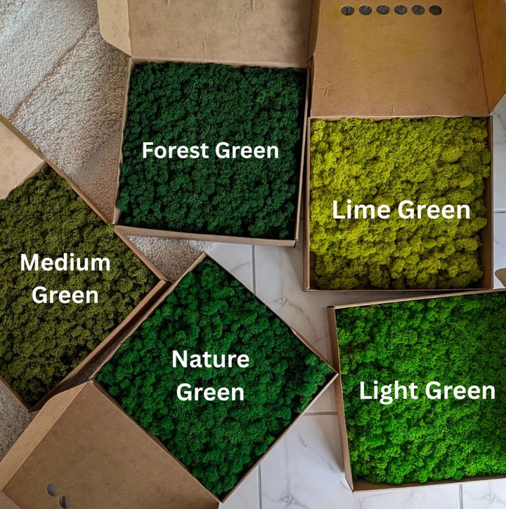 Preserved Reindeer Moss, 16oz. - 13 Hub Lane   |  