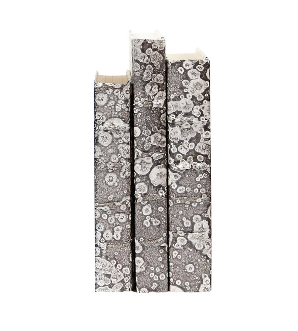 Mottled Silver Leaf Book - 13 Hub Lane   |  