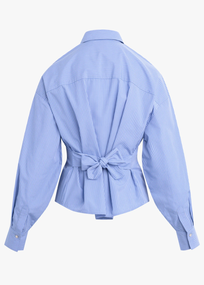 The Back Story Shirt, Blue & White Stripe