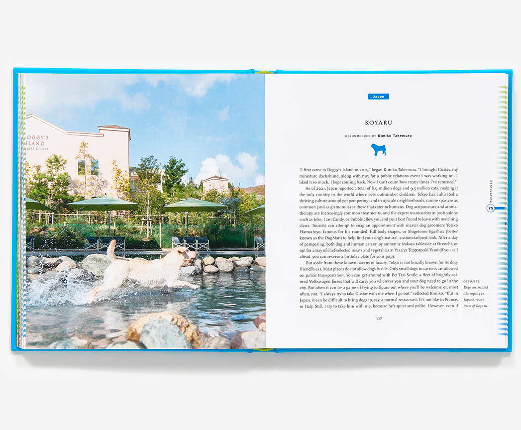 Fifty Places To Travel With Your Dog Before You Die