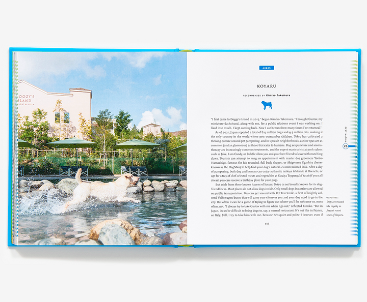 Fifty Places To Travel With Your Dog Before You Die