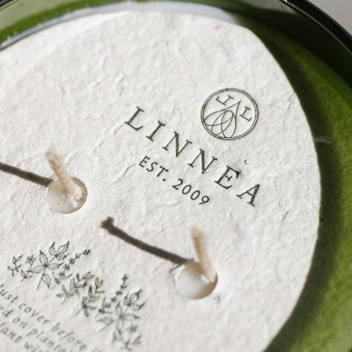 Linnea Crushed Mint Two-Wick Candle