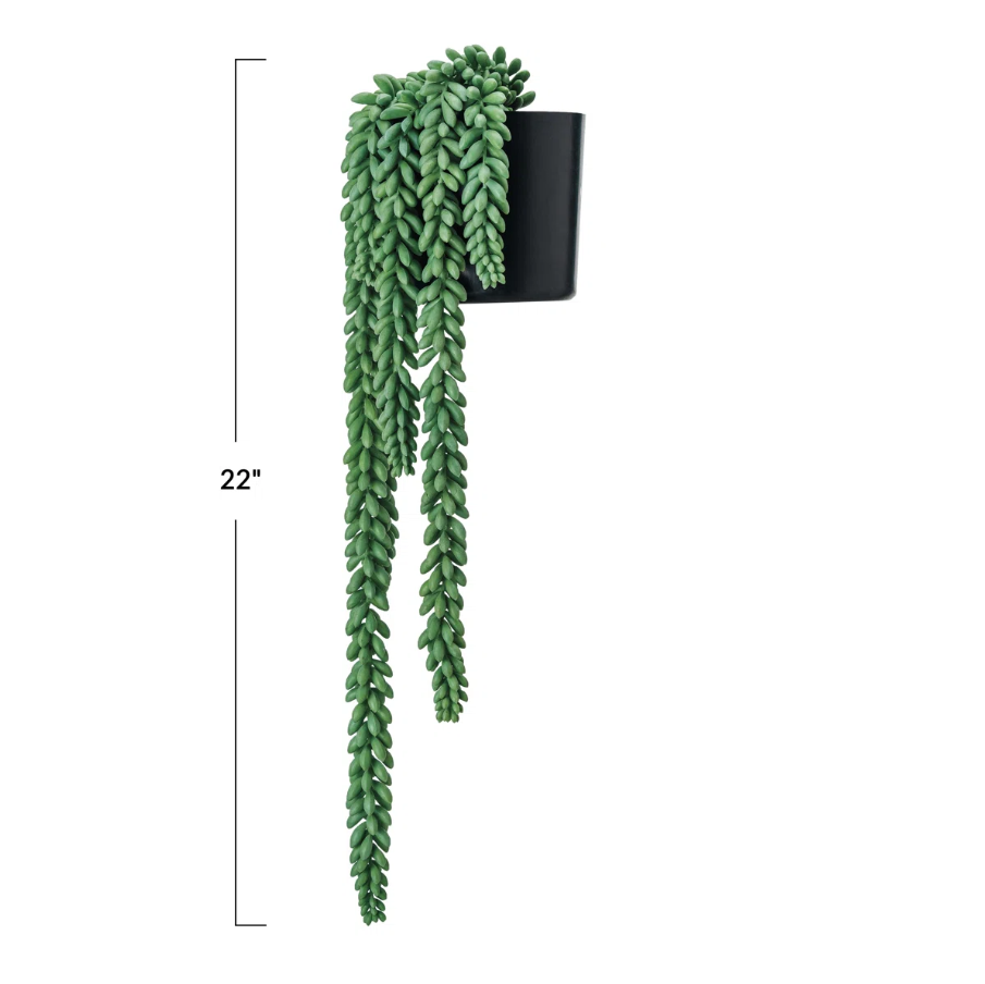 Verdant Faux Donkey Tail in Pot - Thumbnail 3