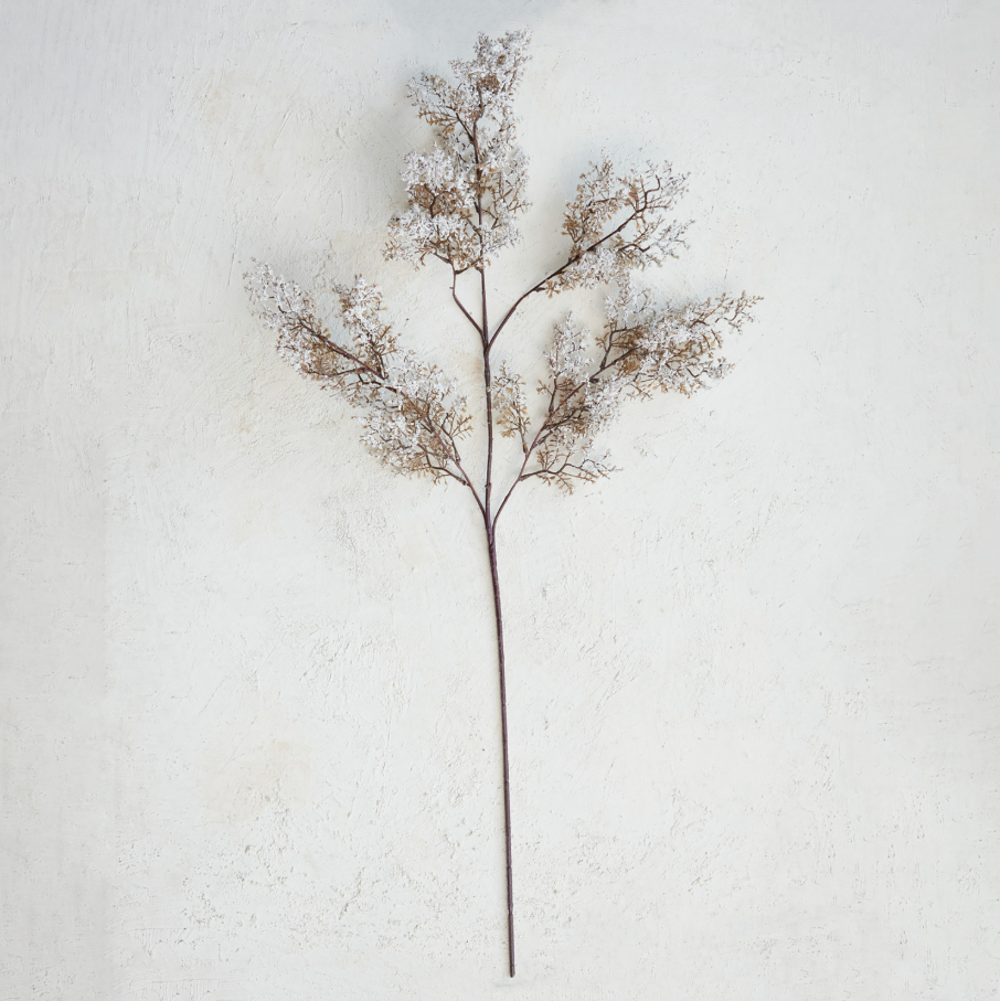Snowy Juniper Branch