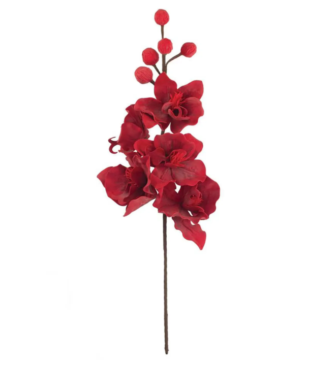 Botanica #2833
