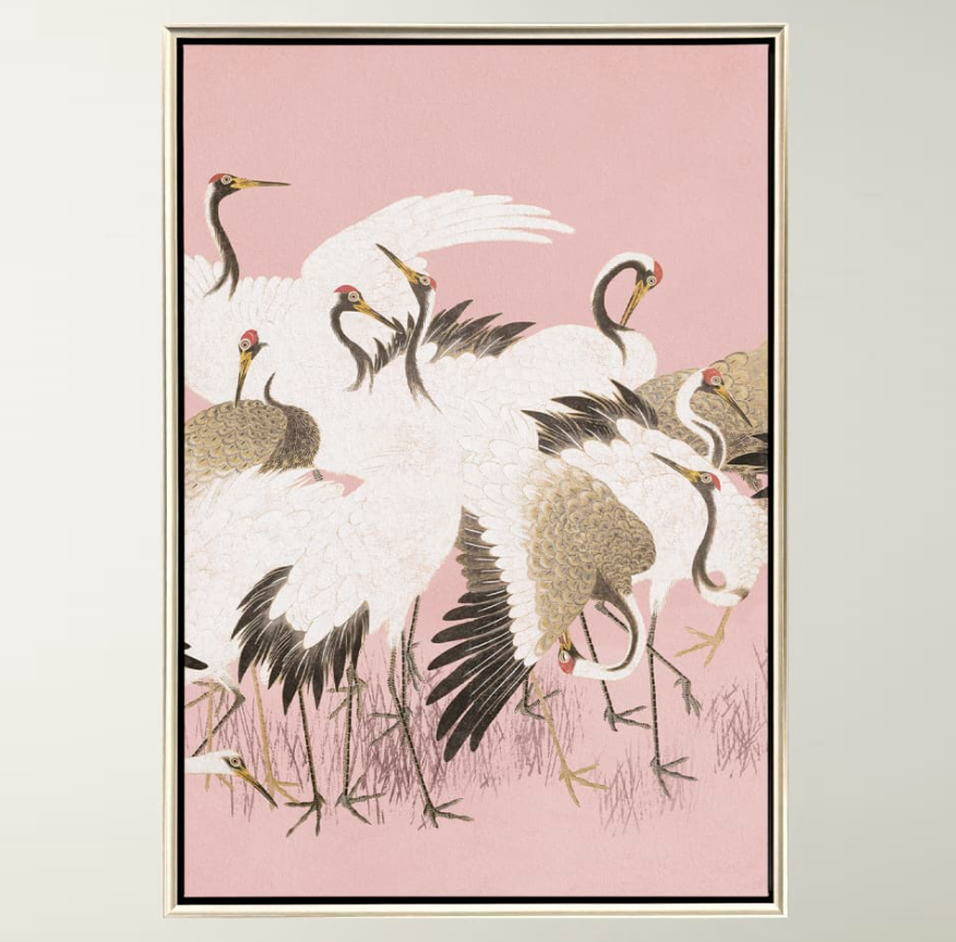 Curious Cranes - Pinna - 13 Hub Lane   |  