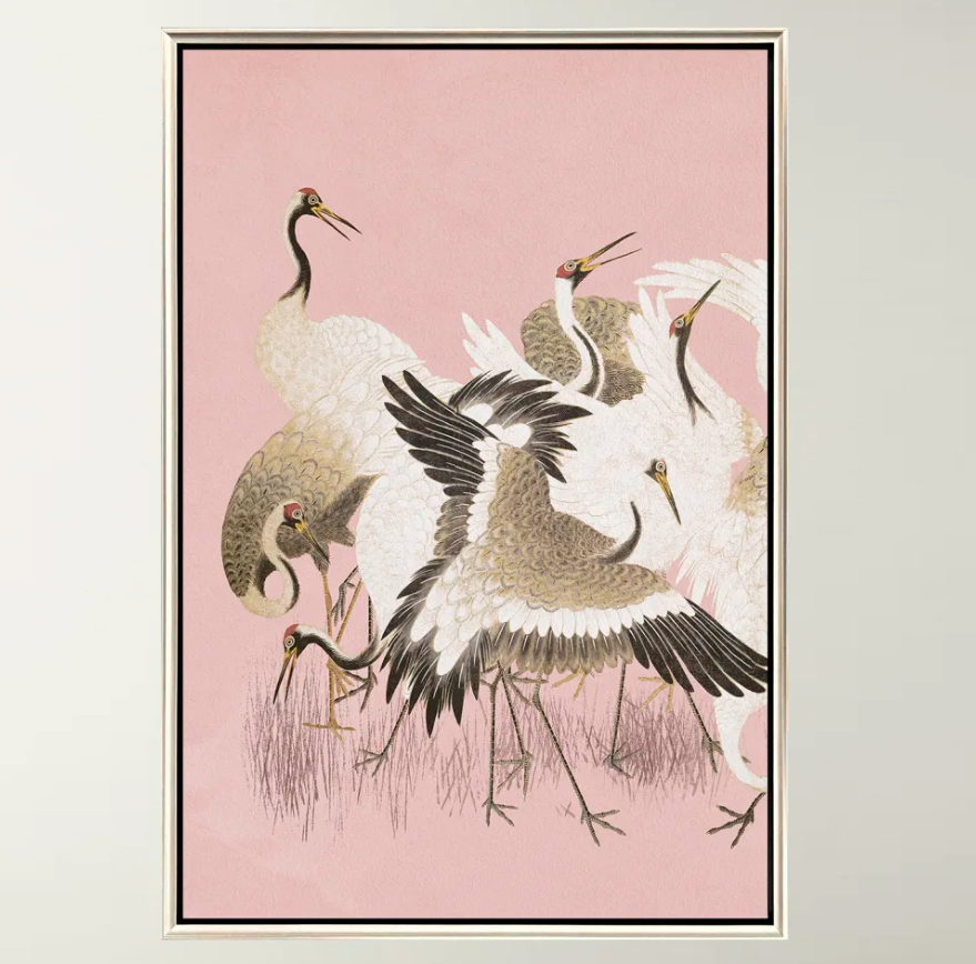 Curious Cranes - Plumule - 13 Hub Lane   |  