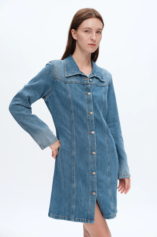 Denim Mini Dress With Long Sleeves