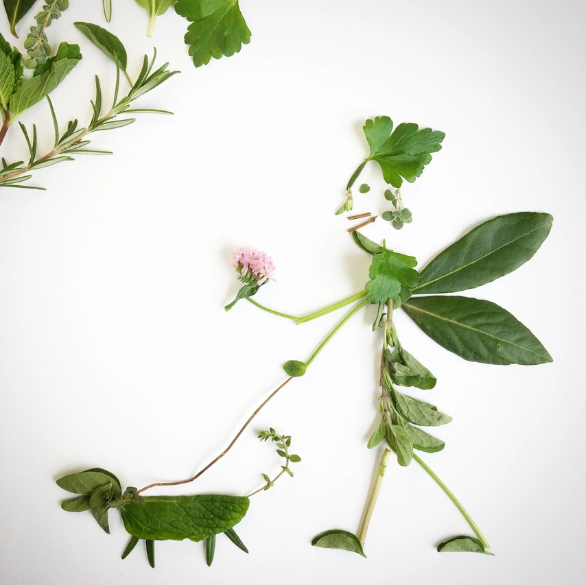 Garden in a Bag, Dog Grass