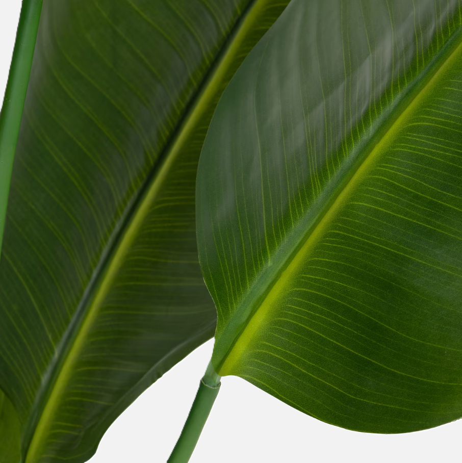 Faux Traveler Palm w/ Black Pot