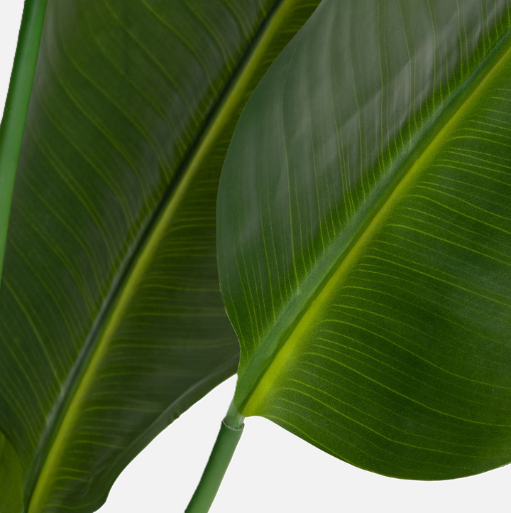 Faux Traveler Palm w/ Black Pot