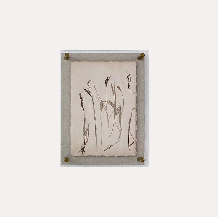 Dried Botanical Print - 13 Hub Lane   |  