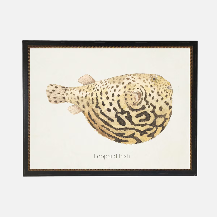 Leopard Fish - 13 Hub Lane   |  Under Glass Prints & Art
