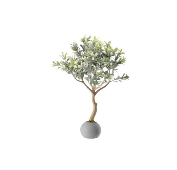 Frost Boxwood Topiary in Cement Ball