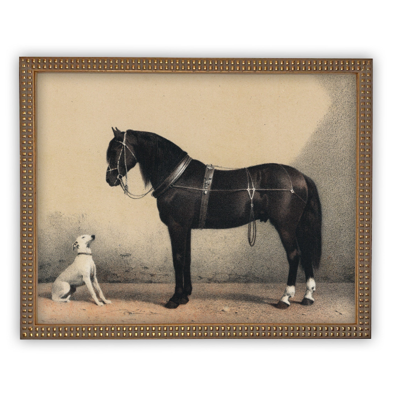 Vintage Framed Canvas, Horse & Hound - 13 Hub Lane   |  