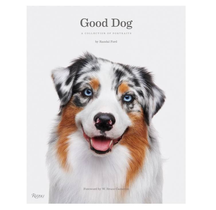 Good Dog: A Collection of Portaits - 13 Hub Lane   |  