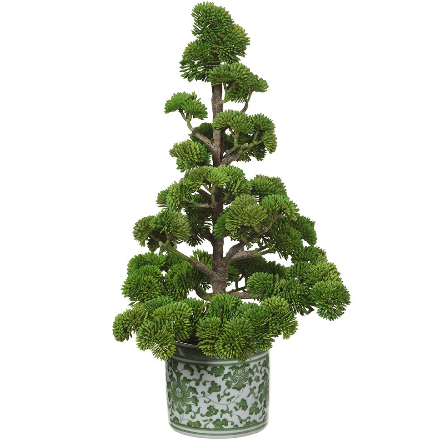 Sedium Pine Tree in Ceramic Vase - 13 Hub Lane   |  Tabletop Trees