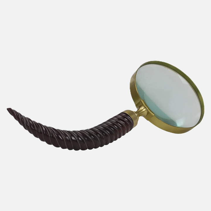 Magnifying Glass