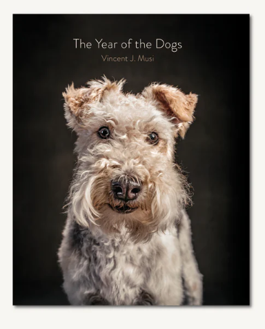The Year of the Dogs - 13 Hub Lane   |  