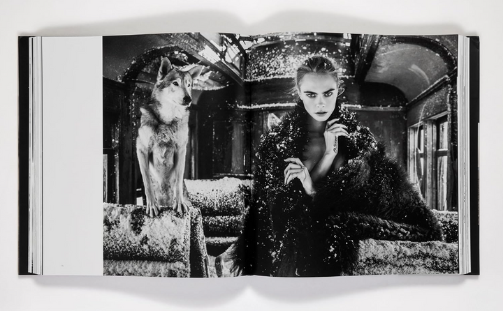 David Yarrow: The Collection