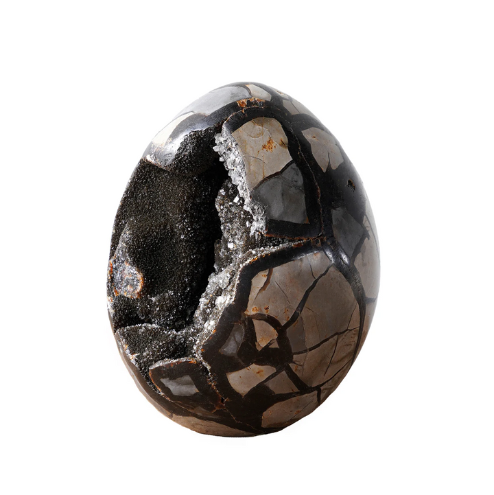 Septarian Dragon Egg