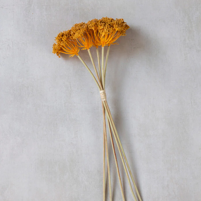 Yarrow Bunch, Sand