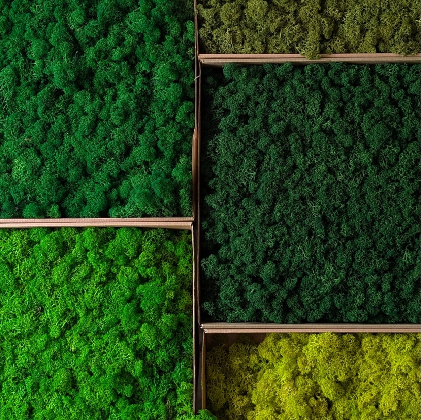 Preserved Reindeer Moss, 16oz. - 13 Hub Lane   |  