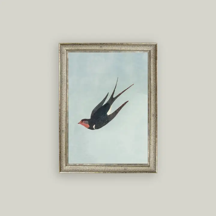 Swallow Boraston - 13 Hub Lane   |  Small Wall Art