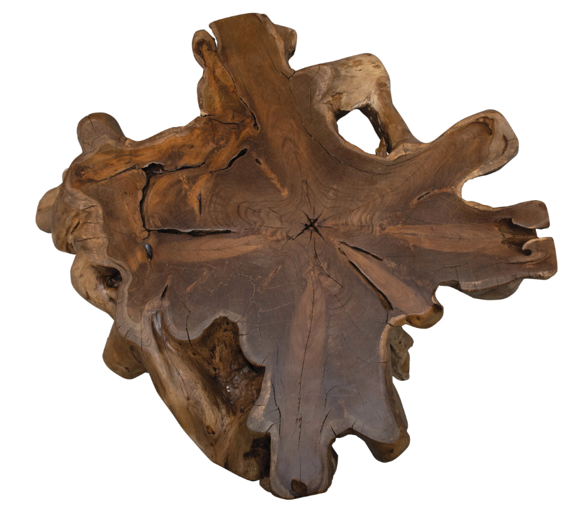 Teak Root Coffee Table - 13 Hub Lane   |  